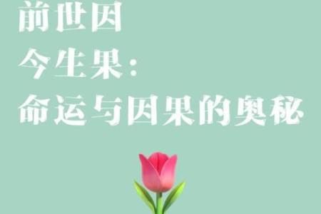 根据因果关系探索万物皆有因命成语的奥秘