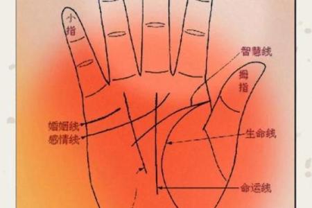 揭示手相之谜：如何通过手相看出你的明星命运！