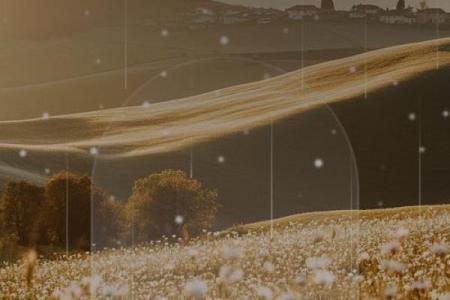 命中注定：人生的奇妙糅合与不可思议的际遇