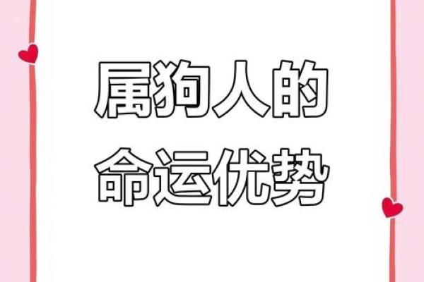 2006年属狗人的命运解析:快乐与挑战的共舞 2006年属狗人的命运解析:快乐与挑战的共舞