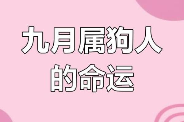 2006年属狗人的命运解析:快乐与挑战的共舞 2006年属狗人的命运解析:快乐与挑战的共舞