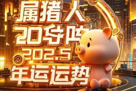 属猪的人缘好，性格温和，解读他们的命与运势！