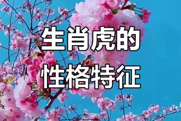 属虎二十二日出生之命运与性格解析:勇敢与智慧的结合 属虎二十二日出生之命运与性格解析:勇敢与智慧的结合