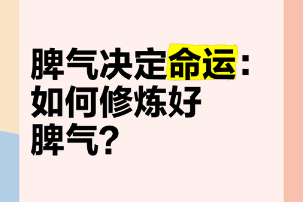 少爷脾气与命运的纠葛：谁能摆脱这不公的宿命？
