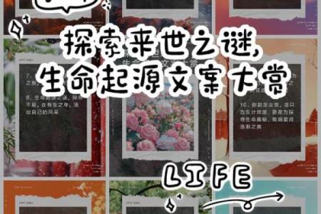 你的人生命运由什么决定？揭示生命真相的奥秘之旅