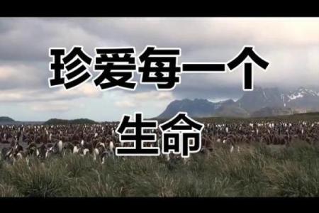 生活中最值得珍惜的那些人：他们让生命更加美好