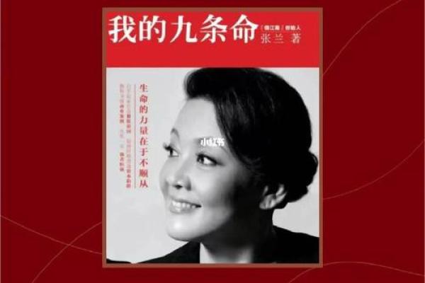 《上海九条命：命运交织的奇幻旅程何时开播？》