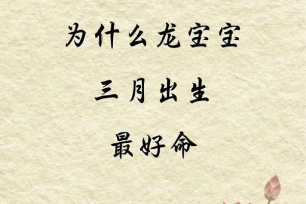 2023年出生宝宝的命格解析与人生指导