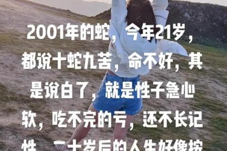 命软之年：揭开命理背后的秘密与启示