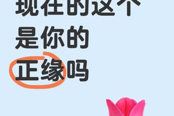 木命人与水命人共事的和谐之道与秘笈 木命人与水命人共事的和谐之道与秘笈
