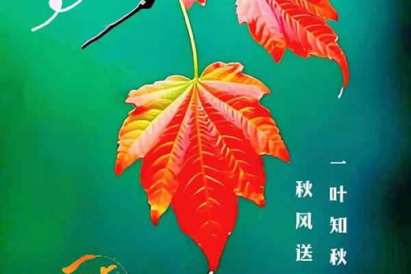 属蛇46岁智慧与挑战:探索人生的另一篇章 属蛇46岁智慧与挑战:探索人生的另一篇章