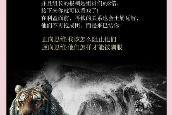 什么行为算是逆天改命,揭秘逆转人生的秘密 什么行为算是逆天改命,揭秘逆转人生的秘密