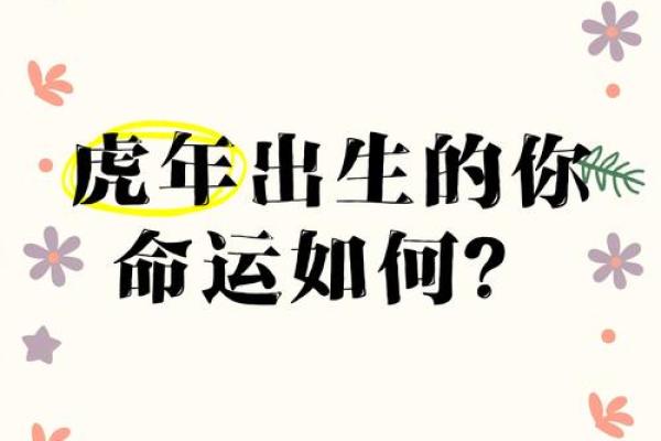 农历九月出生的虎年宝宝，命运与人生之路探秘