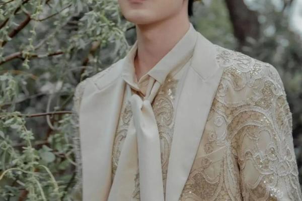 何谓“晋江脸”？探析肖战的魅力与时代象征