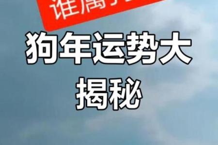 属狗人70年命理解析：如何迎接好运和挑战？