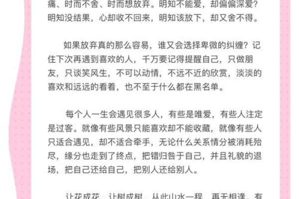拼了命的忘记，遗忘的不是记忆，而是爱与痛的交织