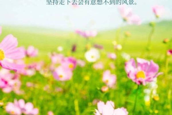 桑柘木命：为什么选择这个微信昵称能带来好运与正能量