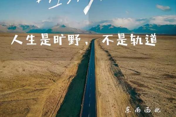 风尘命：那些被生活推向边缘的人生旅途