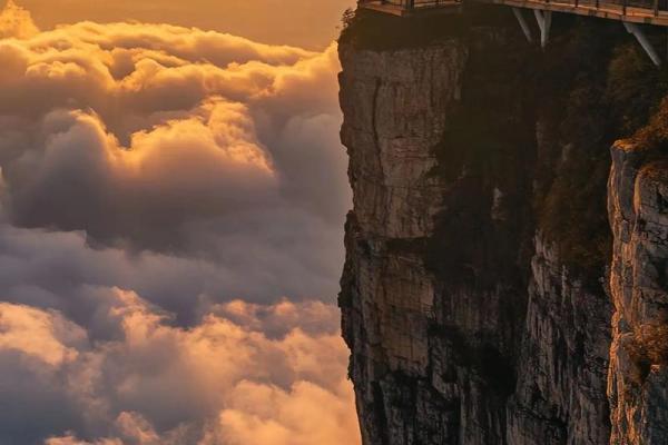 风尘命：那些被生活推向边缘的人生旅途