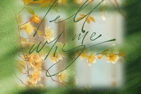 女性操持之命：在生活与事业中掌控自我的智慧与勇气