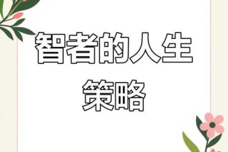 靠脑子吃饭的命：如何运用智慧成就人生理想