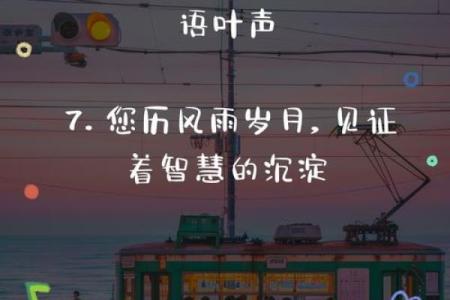 木兔命与五行相生的最佳搭配：探寻命理中的智慧之路