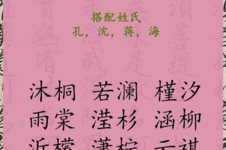 木命人命名建议：如何为木命人取个好名字