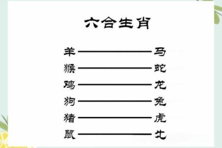 深入了解官中生肖命格：如何解读命运与机遇的关系