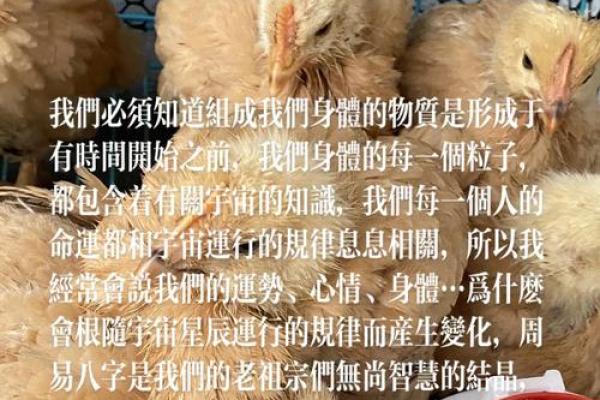 壬寅年四月初六命理解析:探寻天赋与命运的奥秘 壬寅年四月初六命理解析:探寻天赋与命运的奥秘