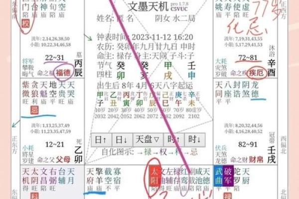 属狗1994是什么命:揭示狗年出生者的命理与人生轨迹 属狗1994是什么命:揭示狗年出生者的命理与人生轨迹