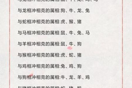 属虎人在2023年：28岁生辰与命理解密