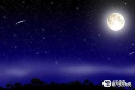 命归阴，探寻属相背后的深义与联系