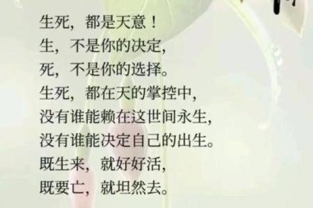 命带十灵日，短命的宿命还是命运的选择？