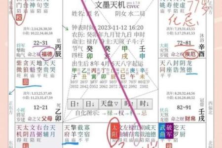 属狗1994是什么命：揭示狗年出生者的命理与人生轨迹