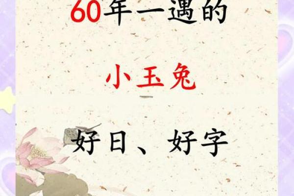 属兔的水命,取名字的智慧与艺术之旅 属兔的水命,取名字的智慧与艺术之旅