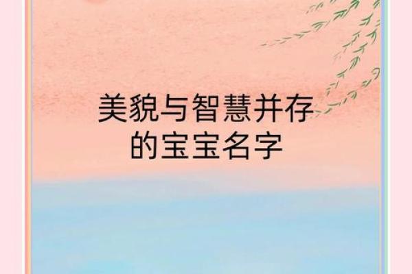 属兔的水命,取名字的智慧与艺术之旅 属兔的水命,取名字的智慧与艺术之旅