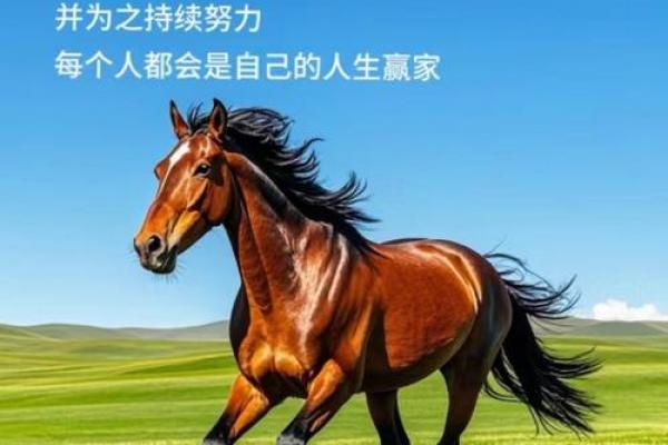 《命运掌握在你手中：关于梦想与努力的歌声》