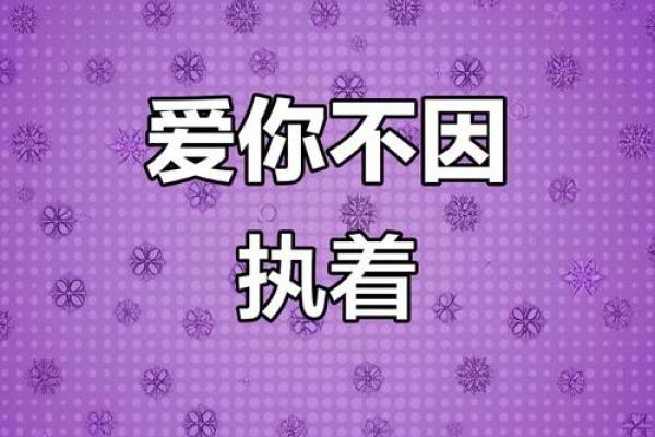 拼了命爱你:爱的坚持和情感的执着探索 拼了命爱你:爱的坚持和情感的执着探索