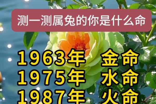 属兔五行命格解析:揭秘兔年的性格与命运潜力 属兔五行命格解析:揭秘兔年的性格与命运潜力