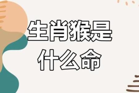 属猴男的命格解析：智慧与机遇的结合之旅