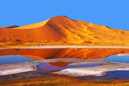 七月属牛人：坚韧不拔的命运之旅与人生智慧