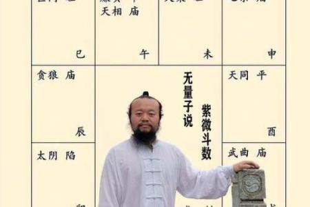 揭开命理之谜：甲命与亥命的深刻探讨