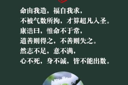 命由我造，油我不油天：生活的选择与掌控