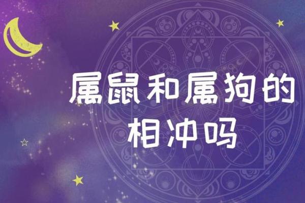 男孩的生肖与命运:解读不一样的命运之路 男孩的生肖与命运:解读不一样的命运之路