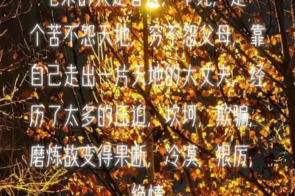 七杀女命:寻找最合适的男命,助你事业与爱情双丰收! 七杀女命:寻找最合适的男命,助你事业与爱情双丰收!