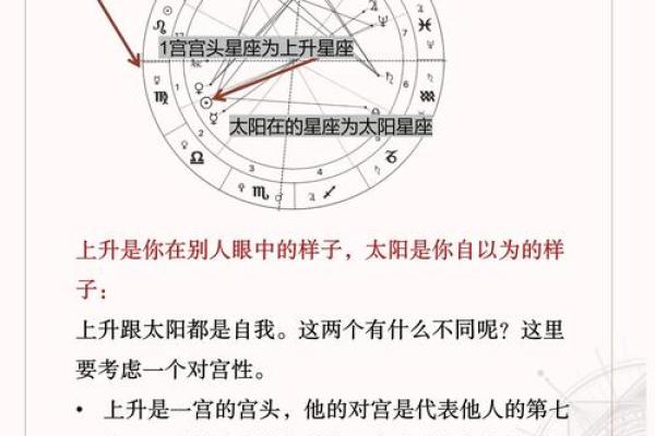 农历5日出生命理解析，揭示命运秘钥与发展方向