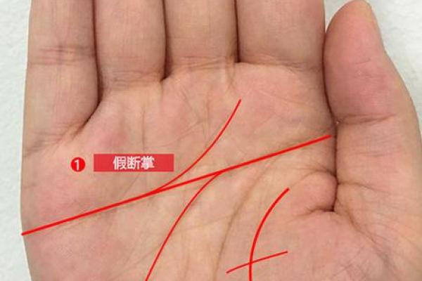 手指上的纹路揭示你的命运:解读手纹的神秘意义 手指上的纹路揭示你的命运:解读手纹的神秘意义