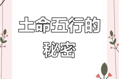 揭秘五行中的阴土命：与动物的神秘联系