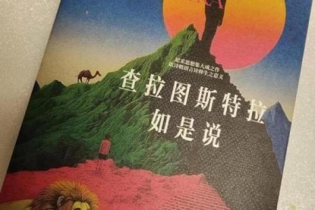 男命龙德：揭示命理背后的智慧与人生之路