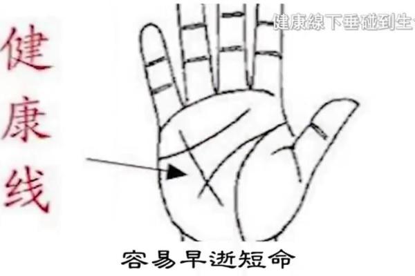 揭秘手掌三条线:从掌纹看命运与性格的奥秘 揭秘手掌三条线:从掌纹看命运与性格的奥秘